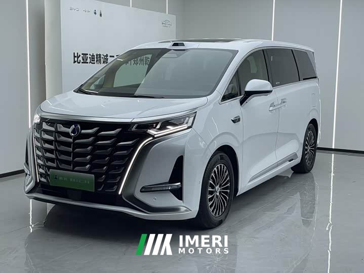 Denza D9 DM-i smart driving version 1020 four-wheel drive flagship - автомобиль из Китая