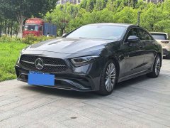 Mercedes-Benz CLS 300 Dynamic - фото 1