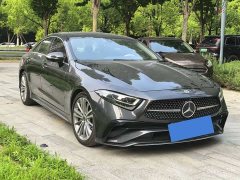 Mercedes-Benz CLS 300 Dynamic - фото 3