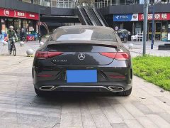 Mercedes-Benz CLS 300 Dynamic - фото 4