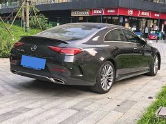 Mercedes-Benz CLS 300 Dynamic - фото 6