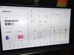 Li Auto Ideal L9 2022 Max - фото 4
