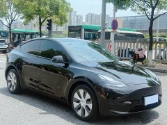 Tesla Model Y long-range all-wheel drive version - фото 1