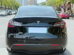 Tesla Model Y long-range all-wheel drive version - фото 6