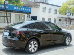Tesla Model Y long-range all-wheel drive version - фото 7