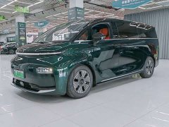 Lexus Yizhen L380 116 degrees 6 seats 2WD Pro - фото 1