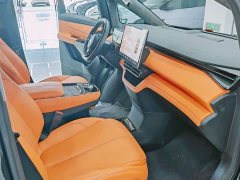 Lexus Yizhen L380 116 degrees 6 seats 2WD Pro - фото 18