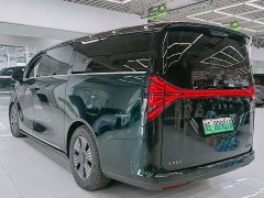 Lexus Yizhen L380 116 degrees 6 seats 2WD Pro - фото 20