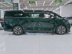 Lexus Yizhen L380 116 degrees 6 seats 2WD Pro - фото 4