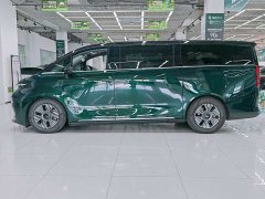 Lexus Yizhen L380 116 degrees 6 seats 2WD Pro - фото 5
