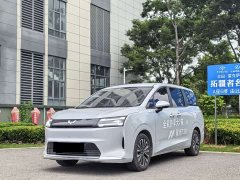 Lexus Starlight 730 New Energy pure electric 500km luxury - фото 1