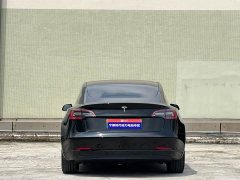 Tesla Model 3 rear-wheel drive version - фото 11