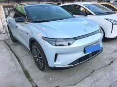 Lynk & Co Leapmoo C11 2021 Exclusive Edition - фото 3