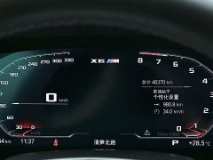 BMW X6 M X6 M - фото 8