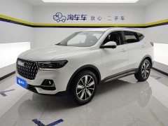 Haval H6 2023 National Fashion Edition 1.5T Automatic Champion Edition - фото 1