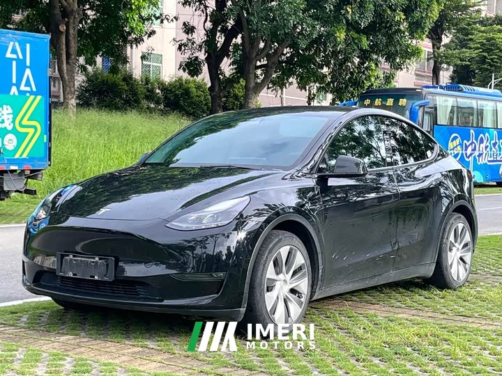 Tesla Model Y 2021 standard range rear-wheel drive version - автомобиль из Китая