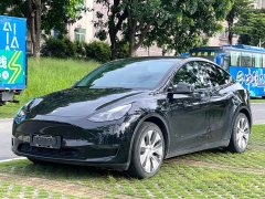 Tesla Model Y 2021 standard range rear-wheel drive version - фото 1