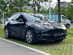 Tesla Model Y 2021 standard range rear-wheel drive version - фото 3