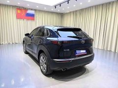 Mazda CX-30 2021 2.0L automatic Jiayue type - фото 11