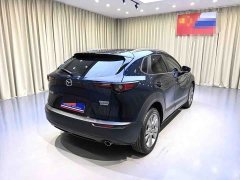 Mazda CX-30 2021 2.0L automatic Jiayue type - фото 13