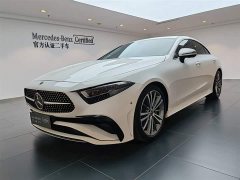 Mercedes-Benz CLS 300 Dynamic - фото 1