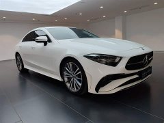 Mercedes-Benz CLS 300 Dynamic - фото 2