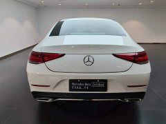 Mercedes-Benz CLS 300 Dynamic - фото 3