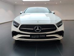 Mercedes-Benz CLS 300 Dynamic - фото 4