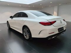 Mercedes-Benz CLS 300 Dynamic - фото 6