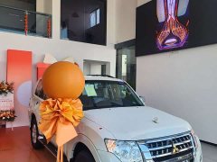 Mitsubishi Pajero (imported) 2020 3.0L automatic - фото 20