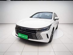 BYD Destroyer 05 Honor Edition DM-i 55KM Luxury Type - фото 1