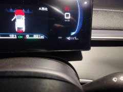 BYD Destroyer 05 Honor Edition DM-i 55KM Luxury Type - фото 8