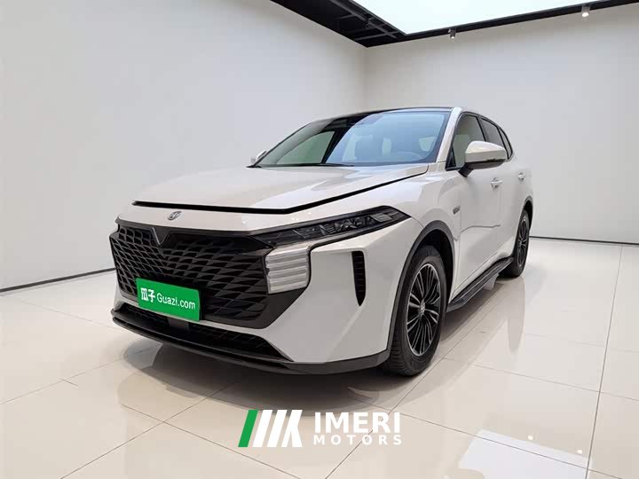 Lynk & Co Venucia Big V 2021 260T Idol Edition - автомобиль из Китая