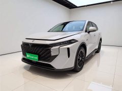 Lynk & Co Venucia Big V 2021 260T Idol Edition - фото 1