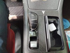Lynk & Co Venucia Big V 2021 260T Idol Edition - фото 15
