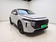 Lynk & Co Venucia Big V 2021 260T Idol Edition - фото 3