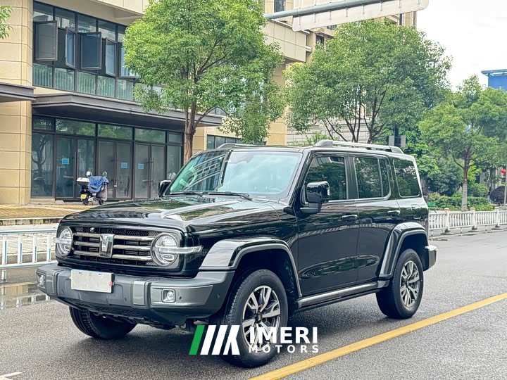 Tank 300 City Edition 2.0T Very Stylish - автомобиль из Китая