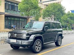 Tank 300 City Edition 2.0T Very Stylish - фото 1