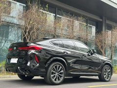 BMW X6 xDrive40i M Sports Package - фото 8