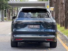 AITO Wenjie M8 2025 extended range Max version 53.4kWh 6-seat version (896-line lidar) - фото 5