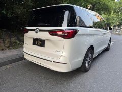 Buick GL8 ES Lu Zun 653T Exclusive - фото 11