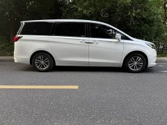 Buick GL8 ES Lu Zun 653T Exclusive - фото 2