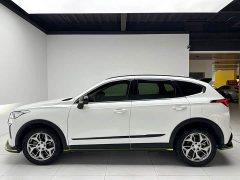 Haval Red Rabbit 2022 Exclusive Edition 1.5T Red Bronze Rabbit - фото 19
