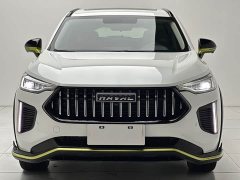 Haval Red Rabbit 2022 Exclusive Edition 1.5T Red Bronze Rabbit - фото 2