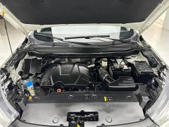 Haval Red Rabbit 2022 Exclusive Edition 1.5T Red Bronze Rabbit - фото 20