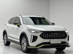 Haval Red Rabbit 2022 Exclusive Edition 1.5T Red Bronze Rabbit - фото 3
