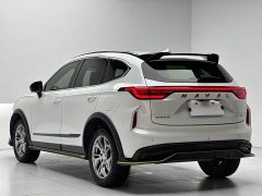 Haval Red Rabbit 2022 Exclusive Edition 1.5T Red Bronze Rabbit - фото 9