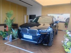 BMW X3 xDrive25i M Sports Package - фото 1