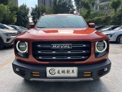 Haval Big Dog 1.5T DCT two-wheel drive Border Collie version - фото 2