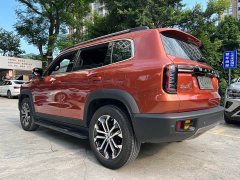 Haval Big Dog 1.5T DCT two-wheel drive Border Collie version - фото 20